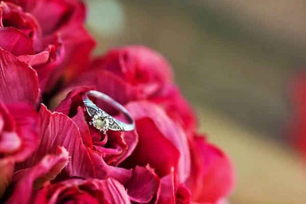 Anillo de compromiso — Foto de Stock