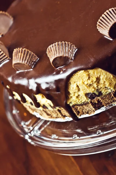 चॉकलेट चीजकेक — स्टॉक फोटो, इमेज