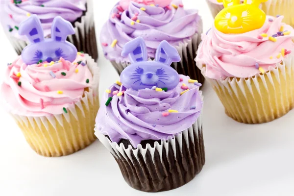 Cup Cake decoration — Stock Photo, Image