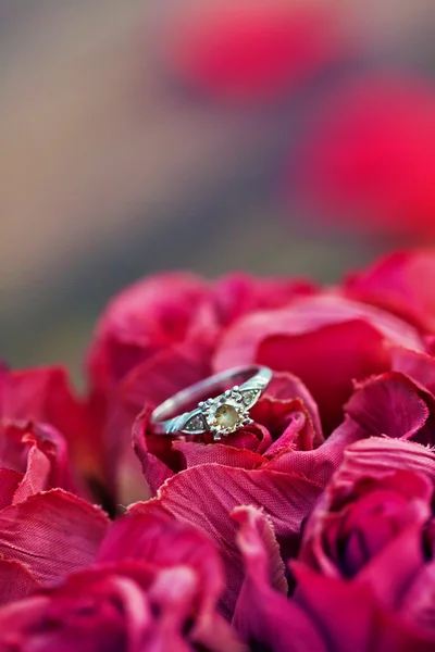 Anillo de compromiso — Foto de Stock