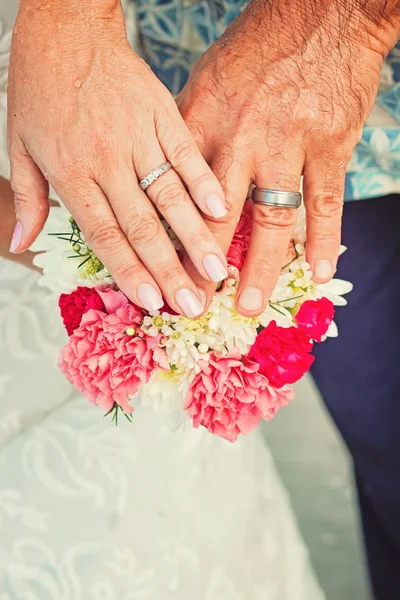 Anläggningen händer — Stockfoto