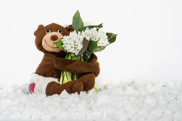 Snowdrops and teddy bear — Stock Photo, Image