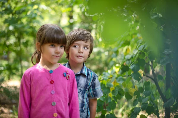 Мальчик и девочка в парке — стоковое фото