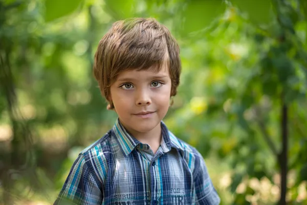 Bir çocuğun portresi.