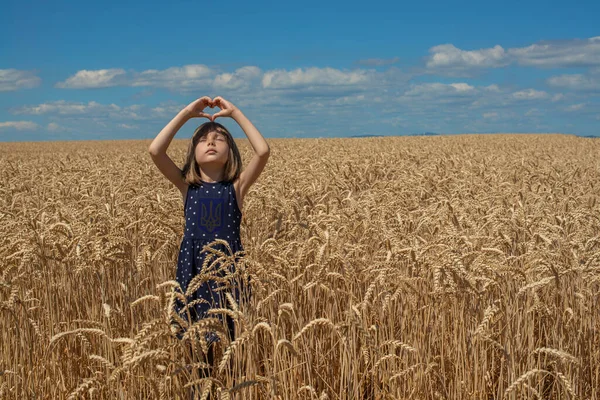 Ukrainian Girl Field Wheat Child Prays Peace Ukraine — Stockfoto