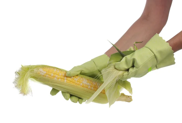 Peeling fresh corncob — Stock Photo, Image