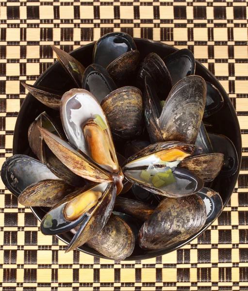 Bol de moules fraîches — Photo