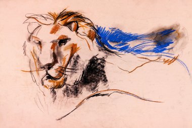 Aslan kroki