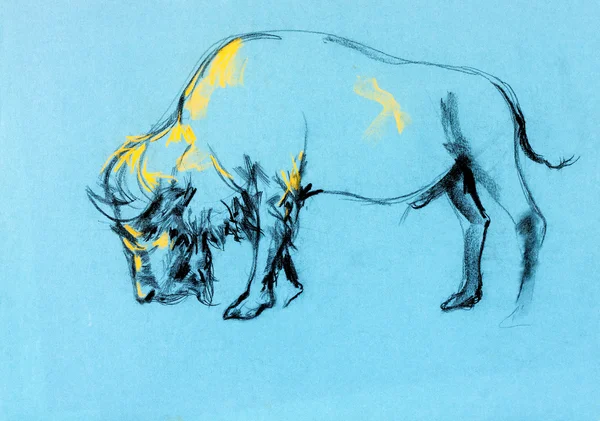 Peinture Buffalo — Photo