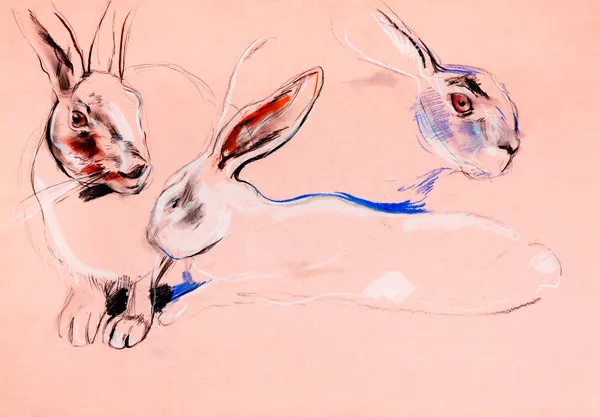 ウサギの絵画 — ストック写真