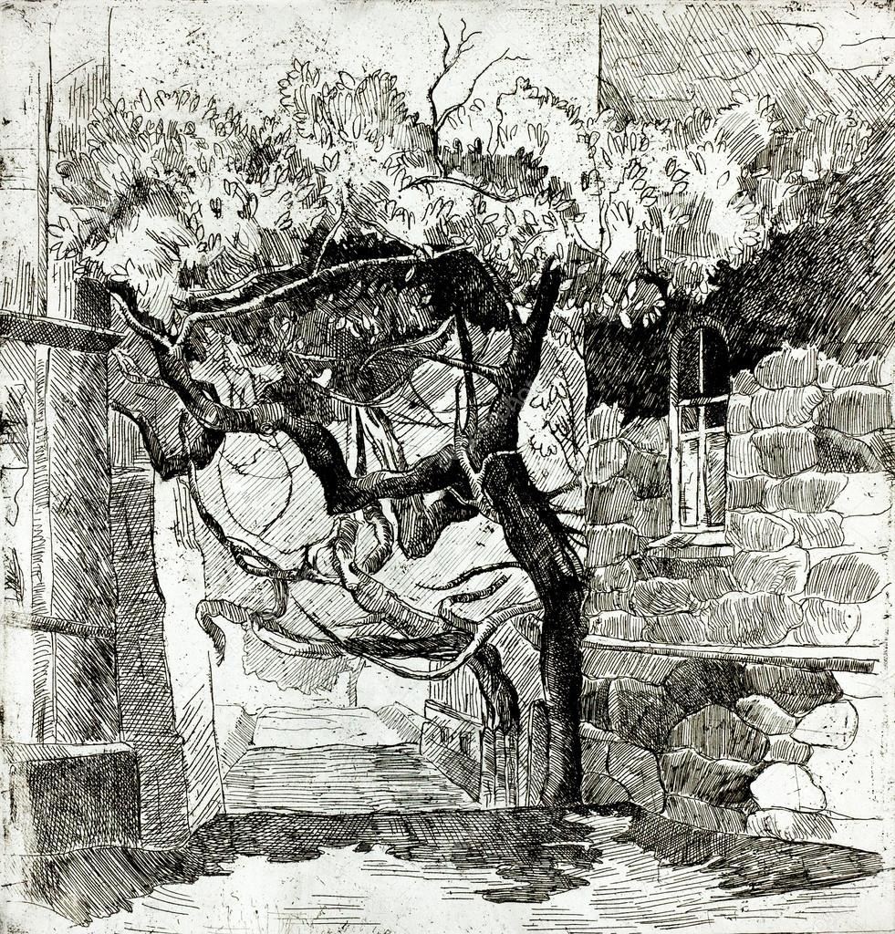 Tree near ruins