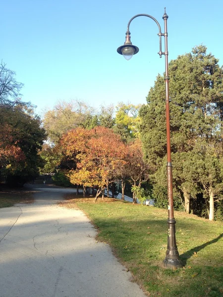 在秋天的公园里的路灯 — 图库照片