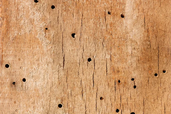 Wooden texture