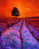 Картина, постер, плакат, фотообои "lavender fields", артикул 43207695