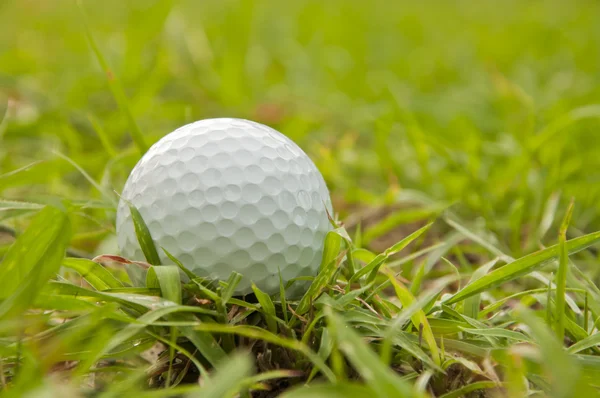 Bola de golfe branco na grama verde — Fotografia de Stock