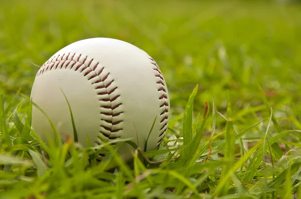 Baseball bianco sull'erba verde — Foto Stock