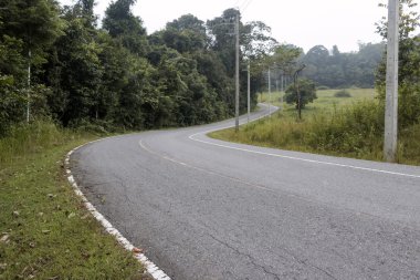 s eğrisi yol yeşil orman