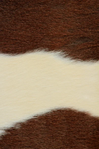 El fragmento de la piel de la vaca — Foto de Stock
