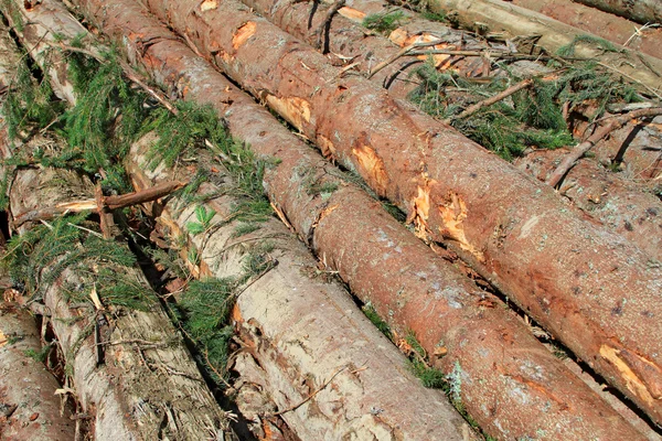 Wood preparation — Stock Photo, Image