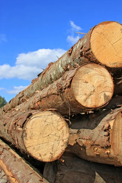 Holzbearbeitung — Stockfoto