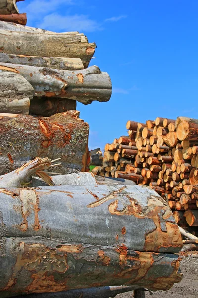 Hout voorbereiding — Stockfoto