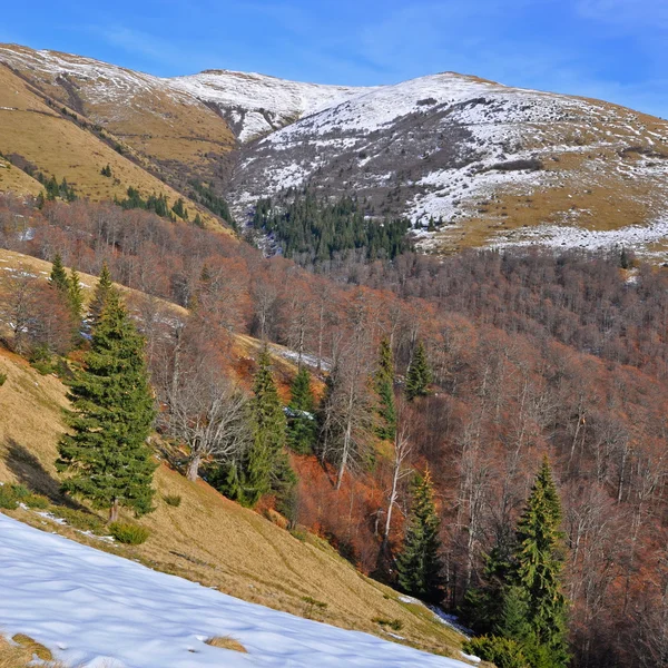 Autumn in mountains — Stock Photo, Image