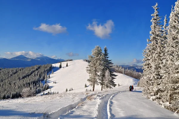Route sur une colline d'hiver — Photo