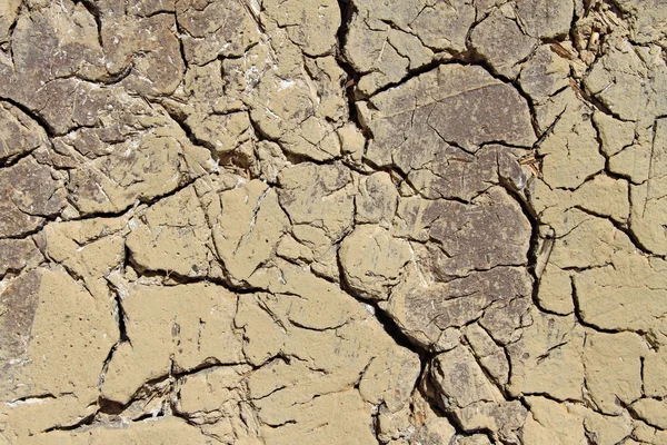 Fragment av en gammal lervägg — Stockfoto