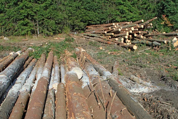 Hout voorbereiding — Stockfoto