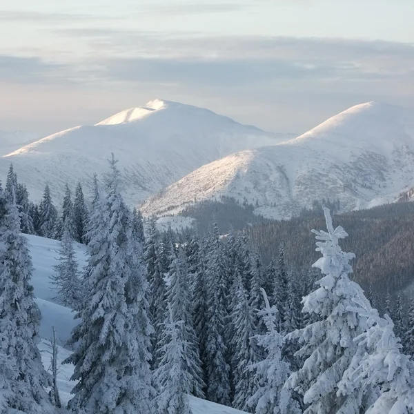 Winter in mountains — Stock Photo, Image