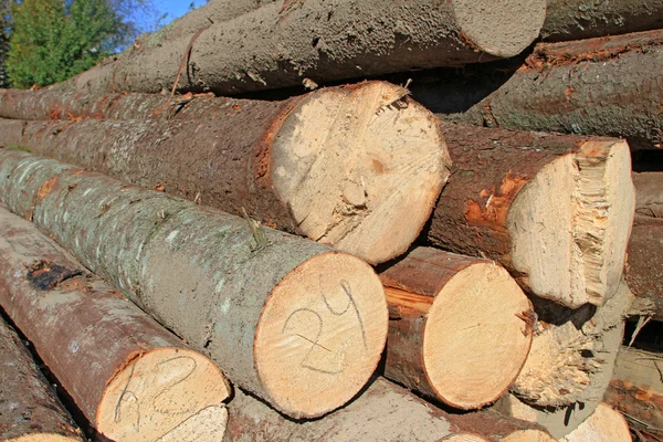 Preparación de madera —  Fotos de Stock