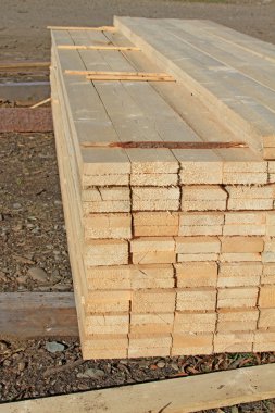 yığın kenar yönetim kurulu