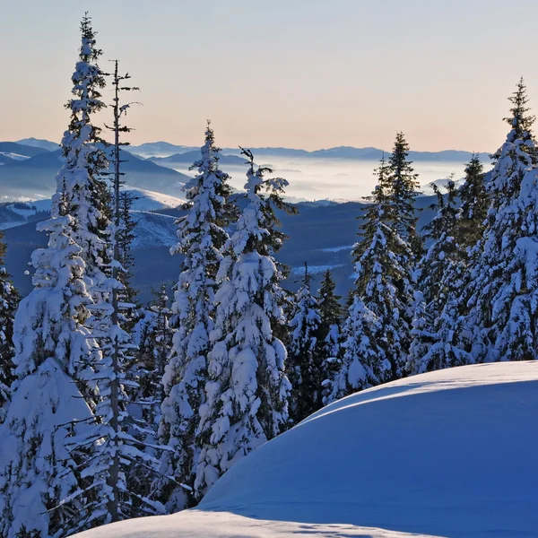 Winter in den Bergen — Stockfoto