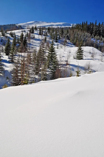 Winter in den Bergen — Stockfoto