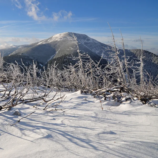 Inverno nas montanhas — Fotografia de Stock