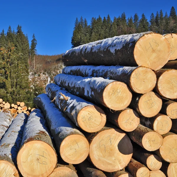 Wood preparation — Stock Photo, Image