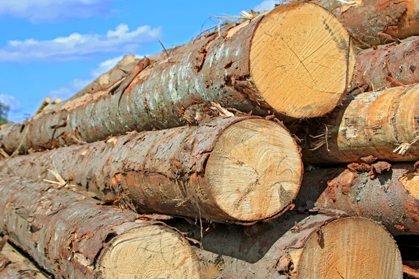 Preparación de madera — Foto de Stock