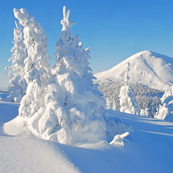 Winter in mountains — Stock Photo, Image