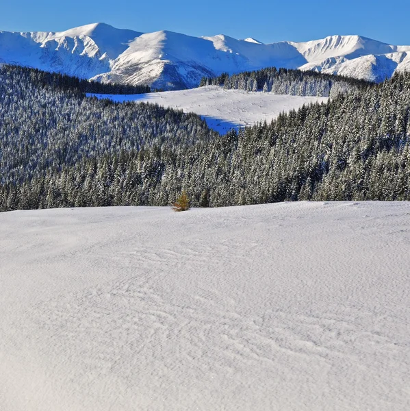 Inverno in montagna — Foto Stock