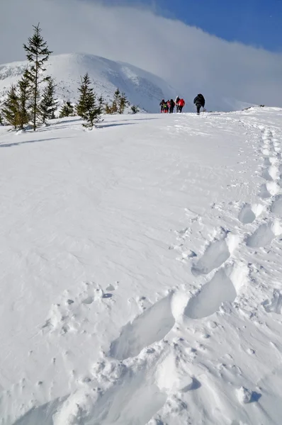 Turistas en caminata de invierno — Foto de Stock
