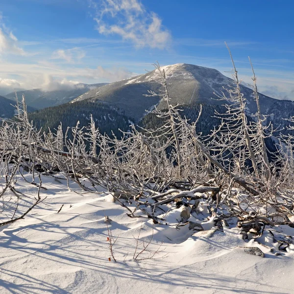 Winter in mountains — Stock Photo, Image