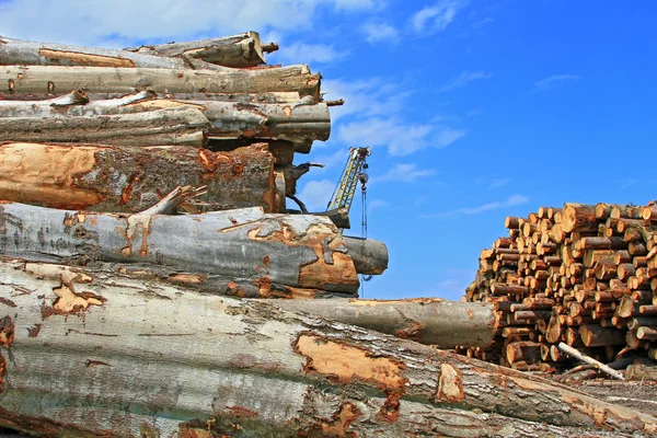 Preparación de madera —  Fotos de Stock