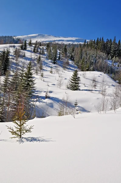 Winter in mountains — Stock Photo, Image