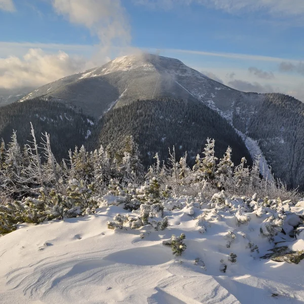 Hiver en montagne — Photo