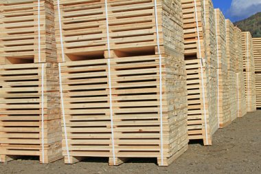 yığın kenar yönetim kurulu