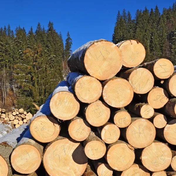 Wood preparation — Stock Photo, Image