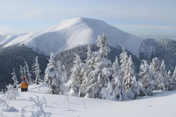 Winter in den Bergen — Stockfoto