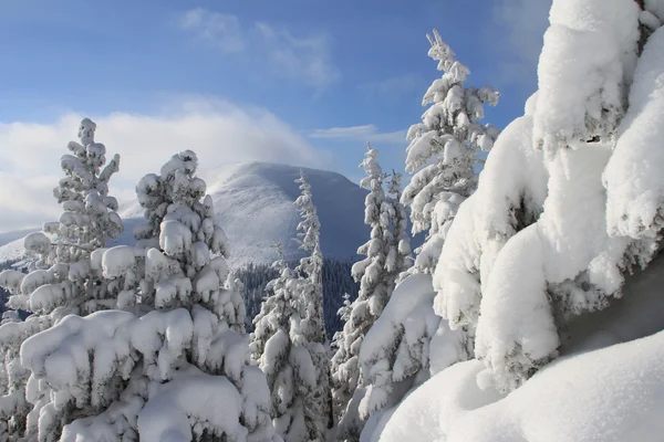 Winter in den Bergen — Stockfoto