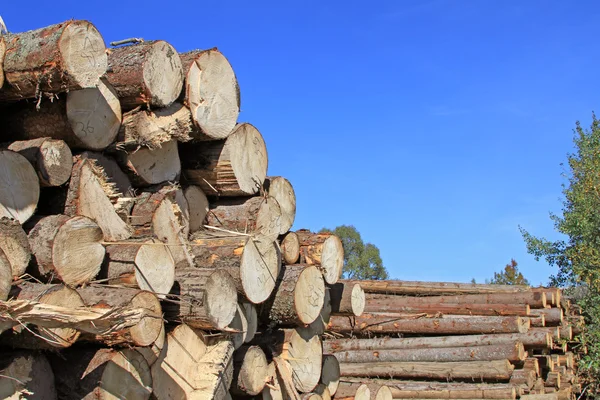 Preparación de madera —  Fotos de Stock