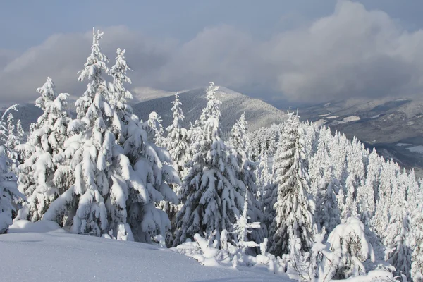 Winter in den Bergen — Stockfoto